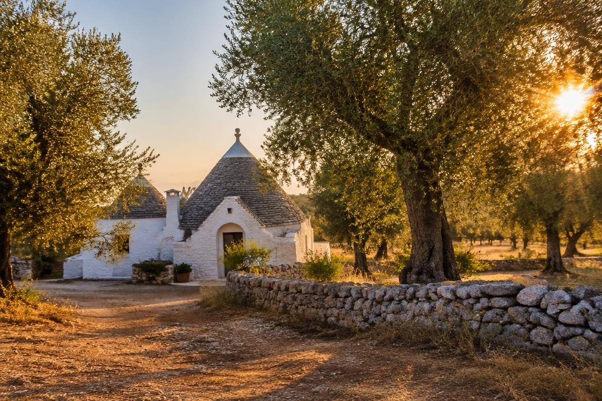 Olijfgaard met trullo in Puglia, de regio waar Jacobien Schumacher woont