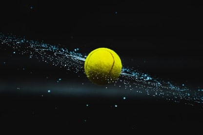 Het vermogen van Novak Djokovic