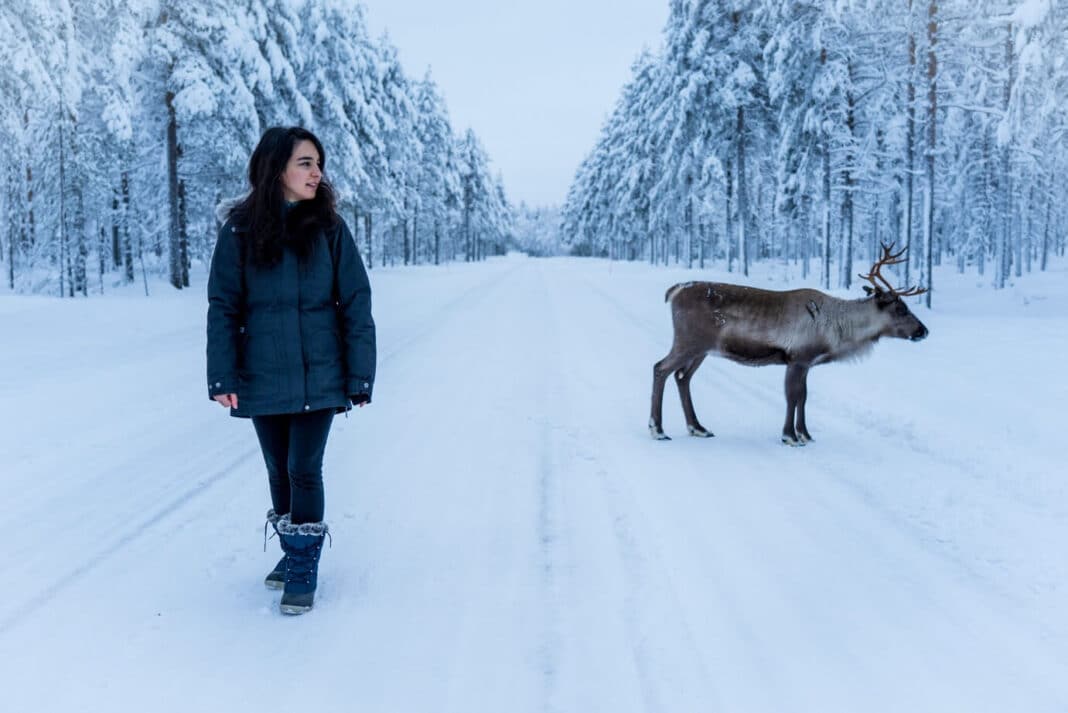 Rondreis door Lapland voor 5 dagen Rondreis Lapland 5 dagen