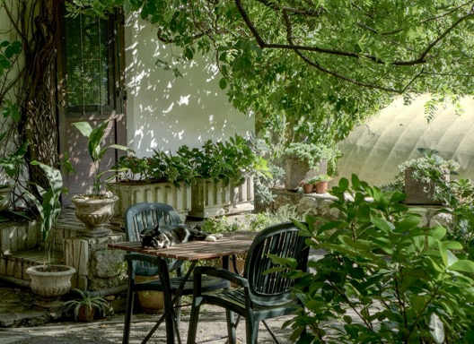 Look tuin veranderen